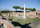 Ostia Antica Day 4 Wed 123114